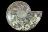 Agatized Ammonite Fossil (Half) - Madagascar #88177-1